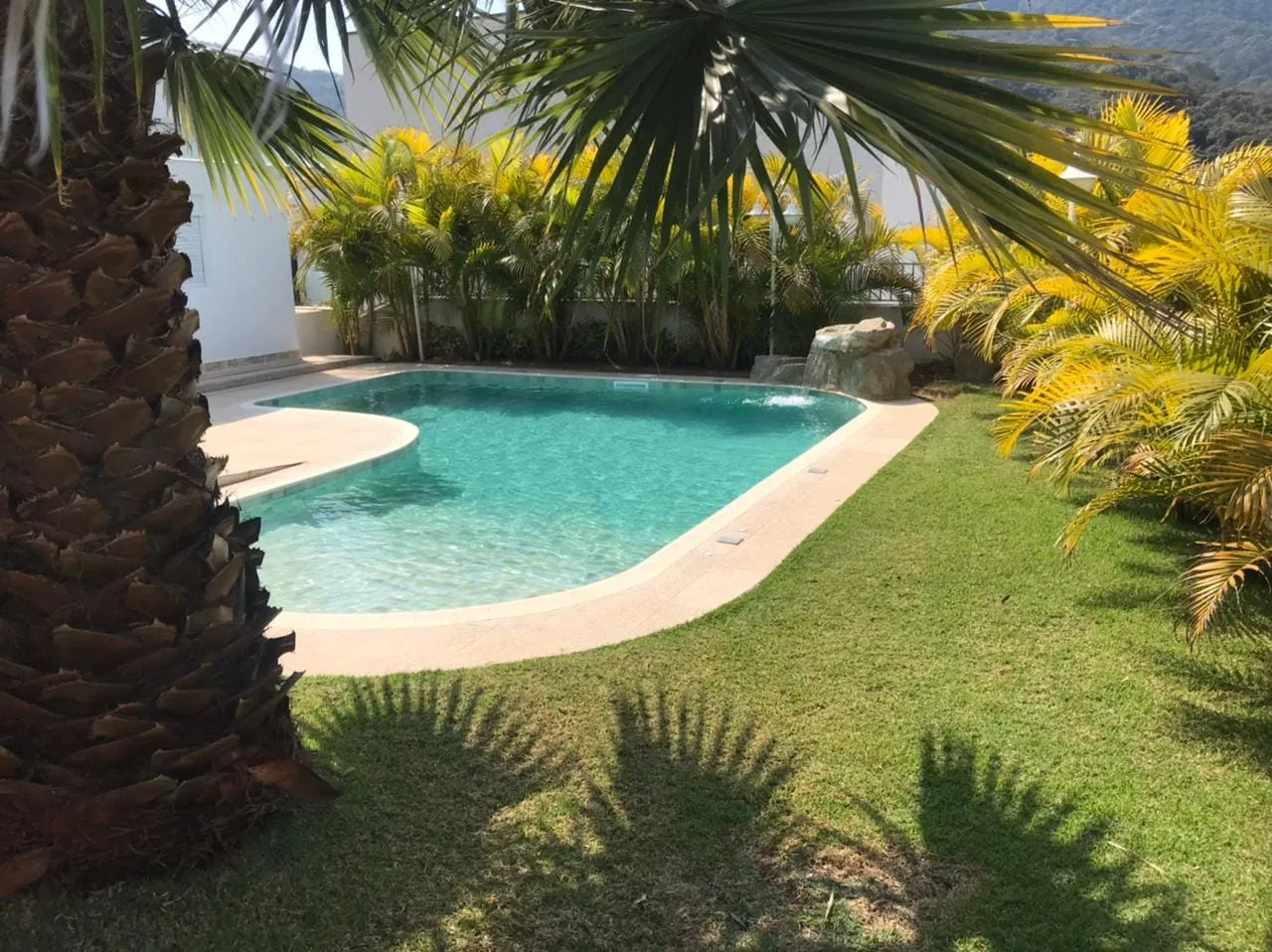 Piscina orgânica em meio ao jardim
